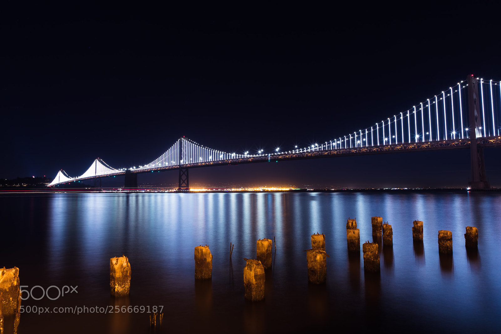 Canon EOS 5D Mark IV sample photo. The vertical blue photography