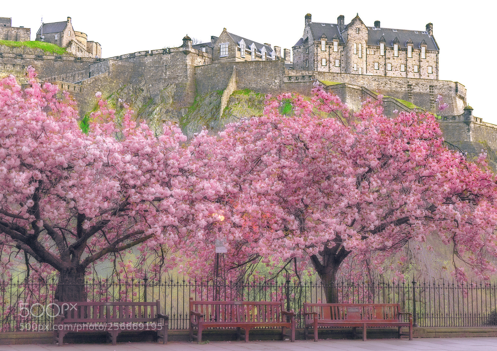 Sony a7 sample photo. Eeeeeedinburgh castle photography