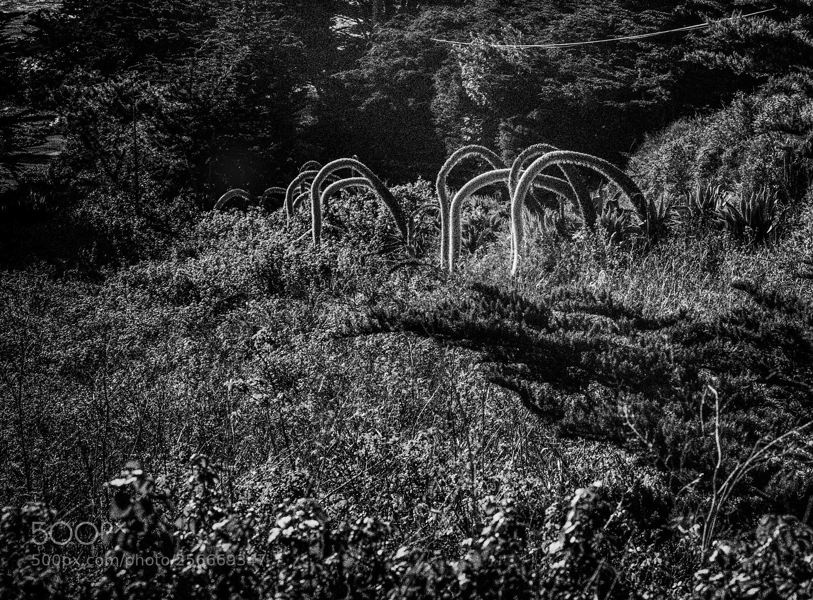 Leica M (Typ 240) sample photo. South coast 45 photography