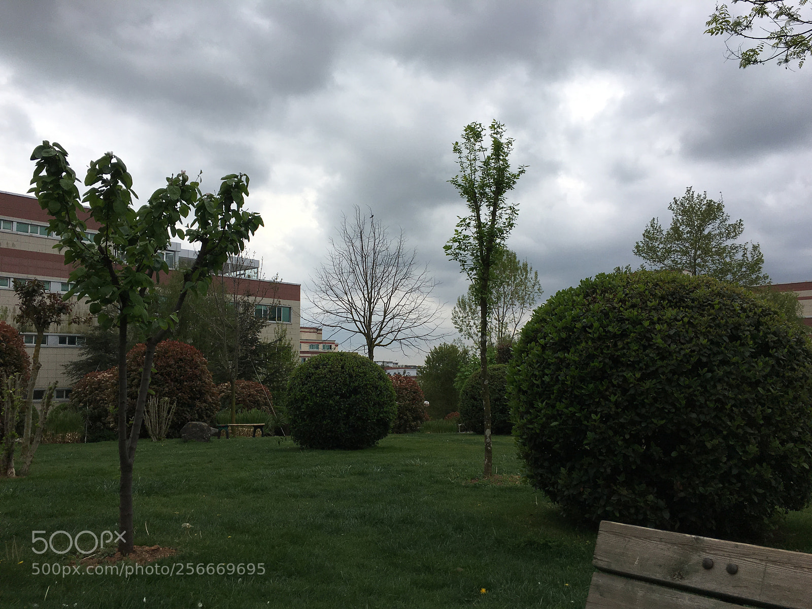 Apple iPhone 6s sample photo. Pm photography