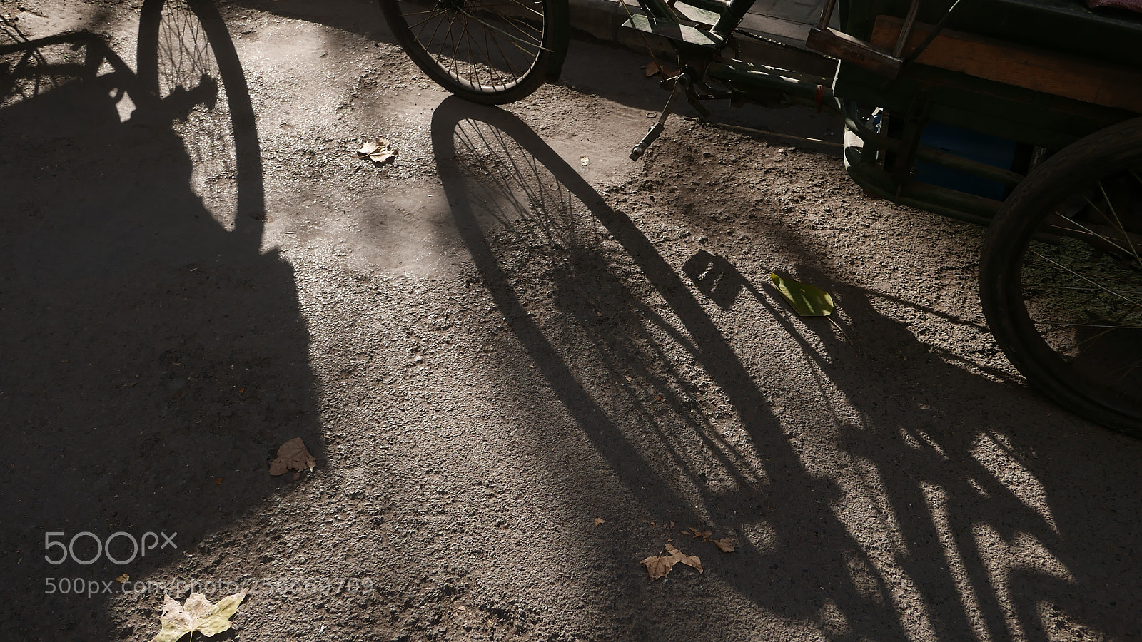Leica D-Lux (Typ 109) sample photo. 《步履不停》 photography