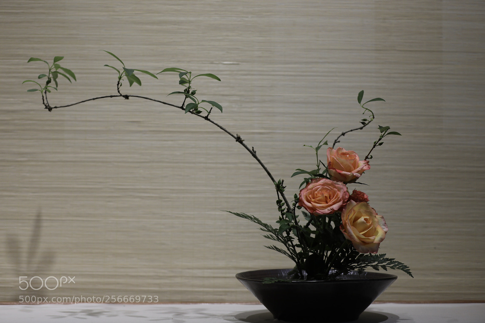 Canon EOS 5D Mark IV sample photo. 插花 photography