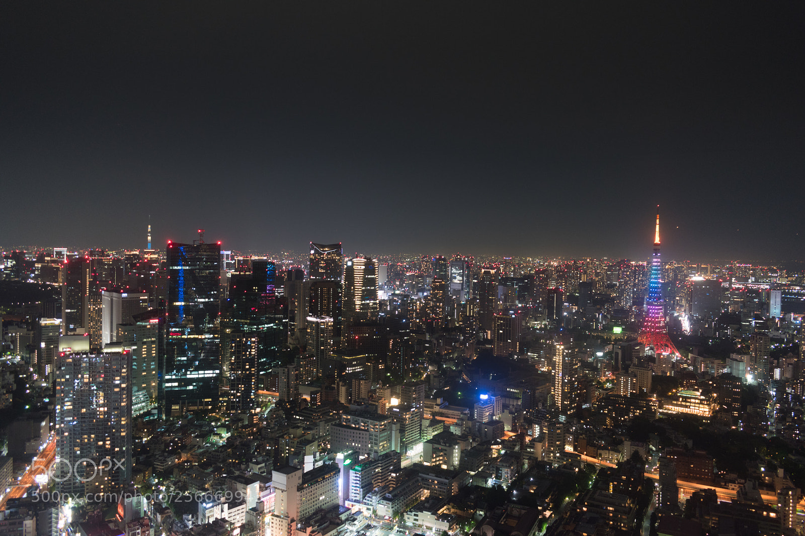 Nikon D5600 sample photo. Tokyo tower and tokyo photography