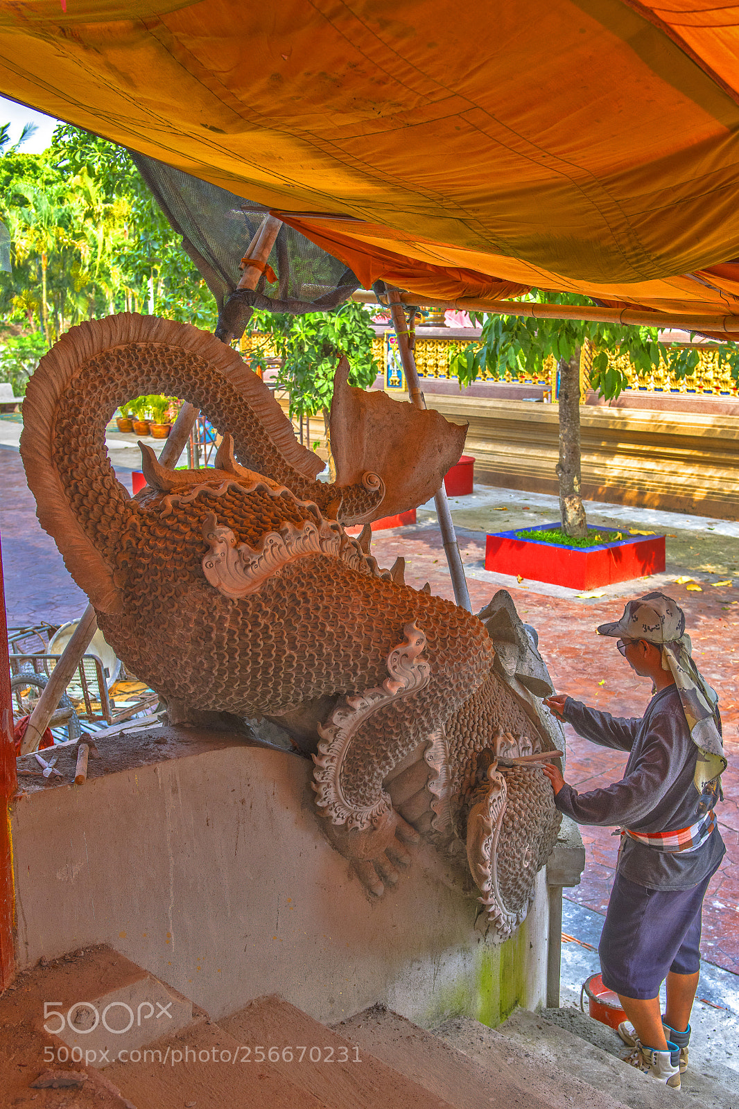 Nikon D850 sample photo. Sculpteur de dragon photography