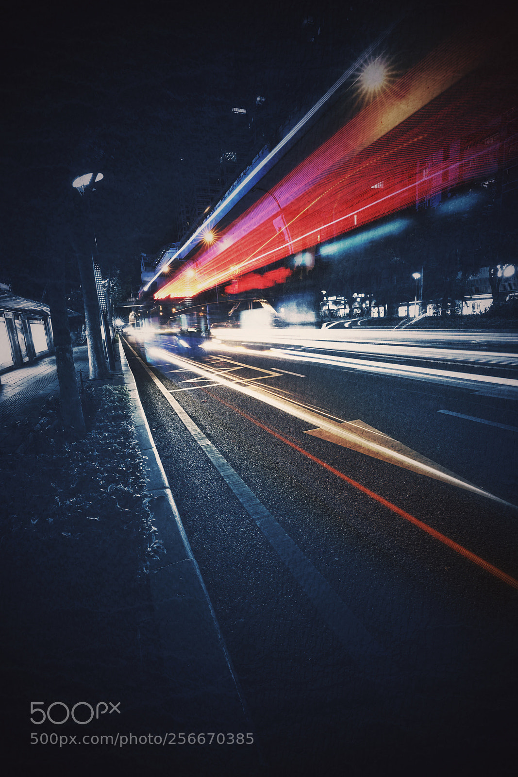 Sony a7R II sample photo. Untitled photography