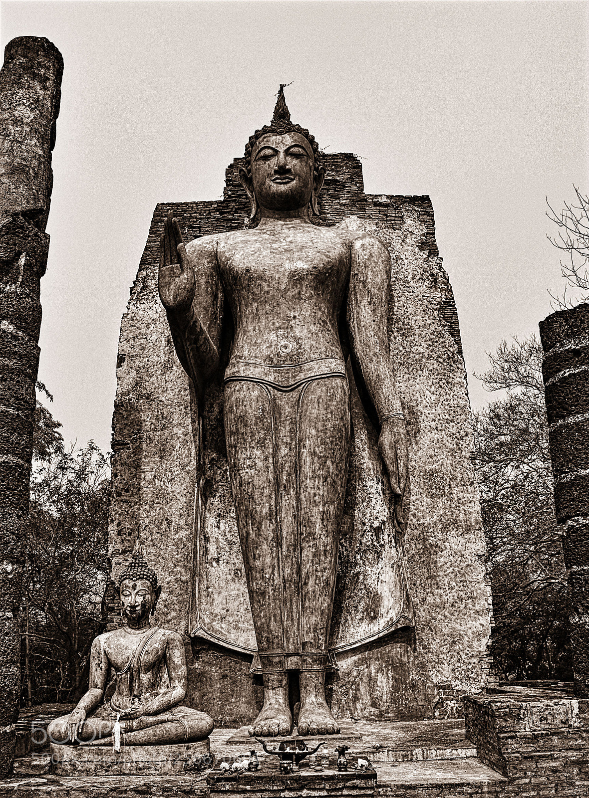 Canon EOS 100D (EOS Rebel SL1 / EOS Kiss X7) sample photo. Lost buddha photography