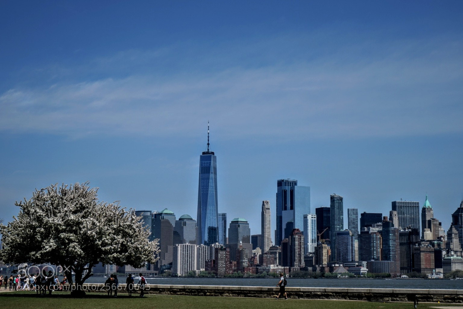 Sony a7 sample photo. Skyline new york from photography