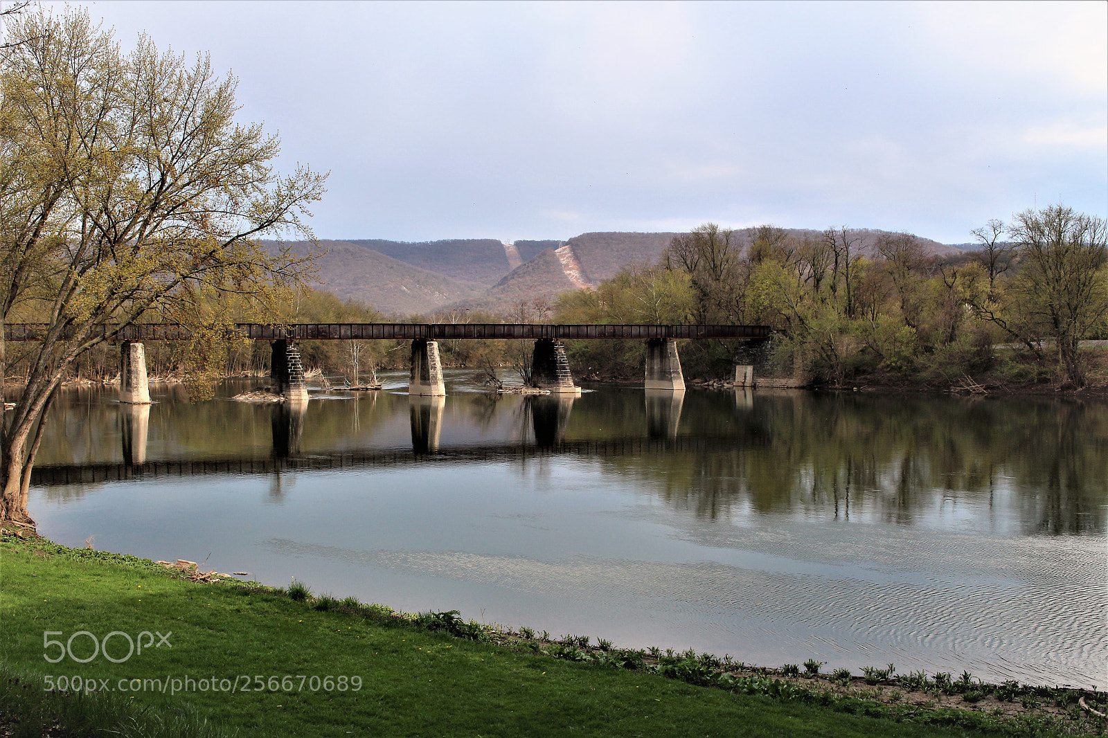 Canon EOS 100D (EOS Rebel SL1 / EOS Kiss X7) sample photo. Old train bridge photography