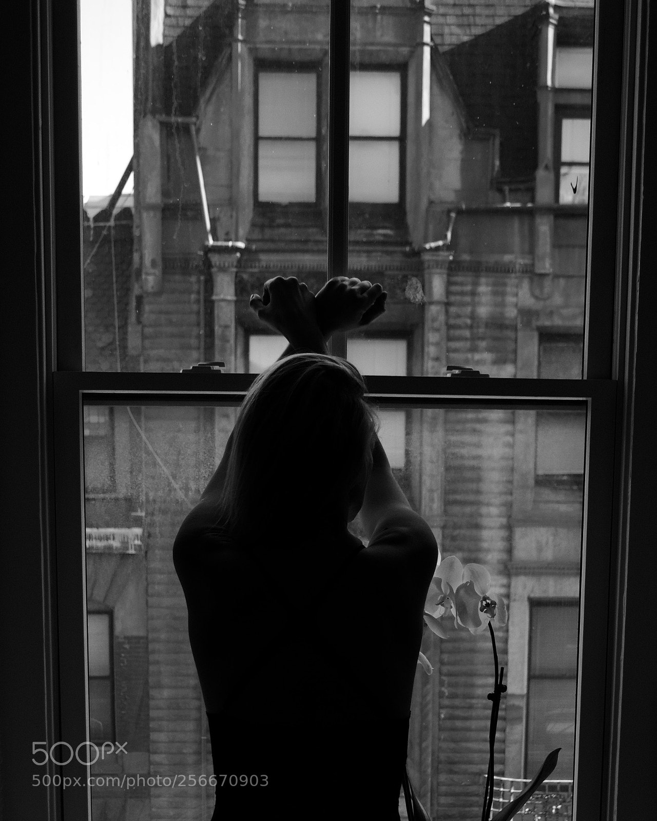 Nikon D5100 sample photo. Window photography