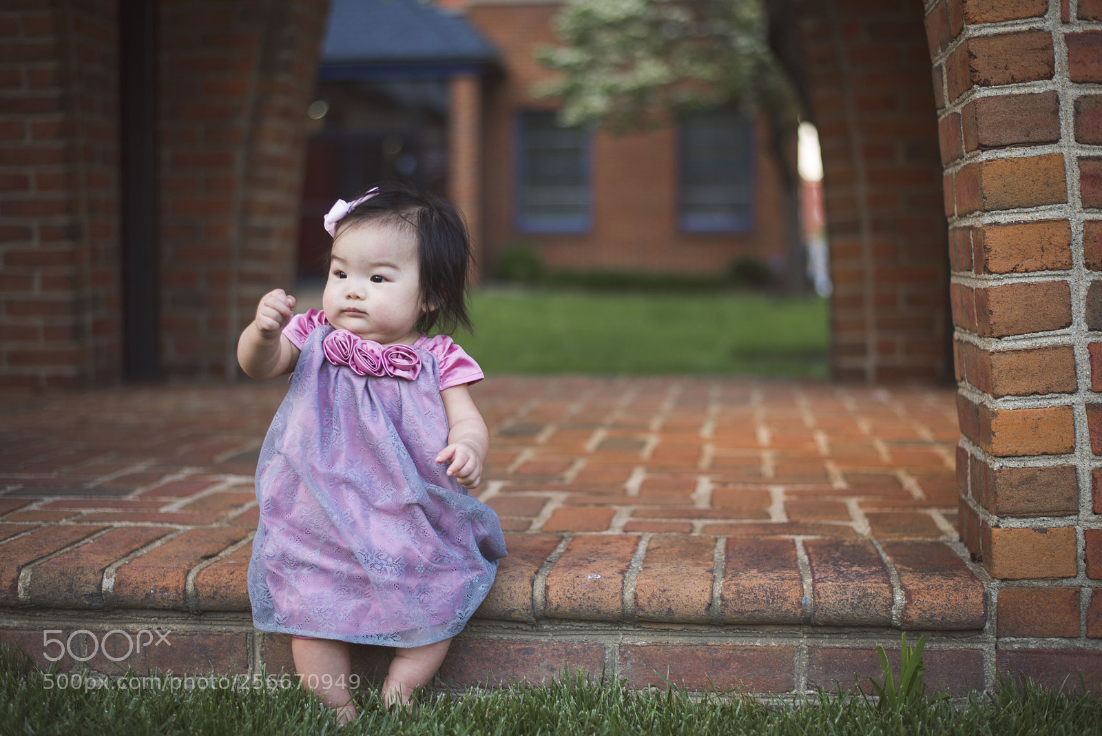 Nikon D800 sample photo. Ktv photography