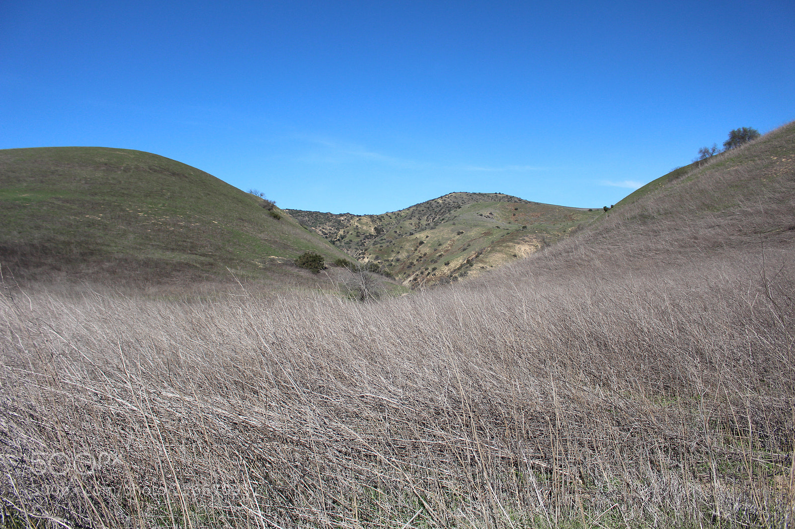 Canon EOS 700D (EOS Rebel T5i / EOS Kiss X7i) sample photo. Img photography