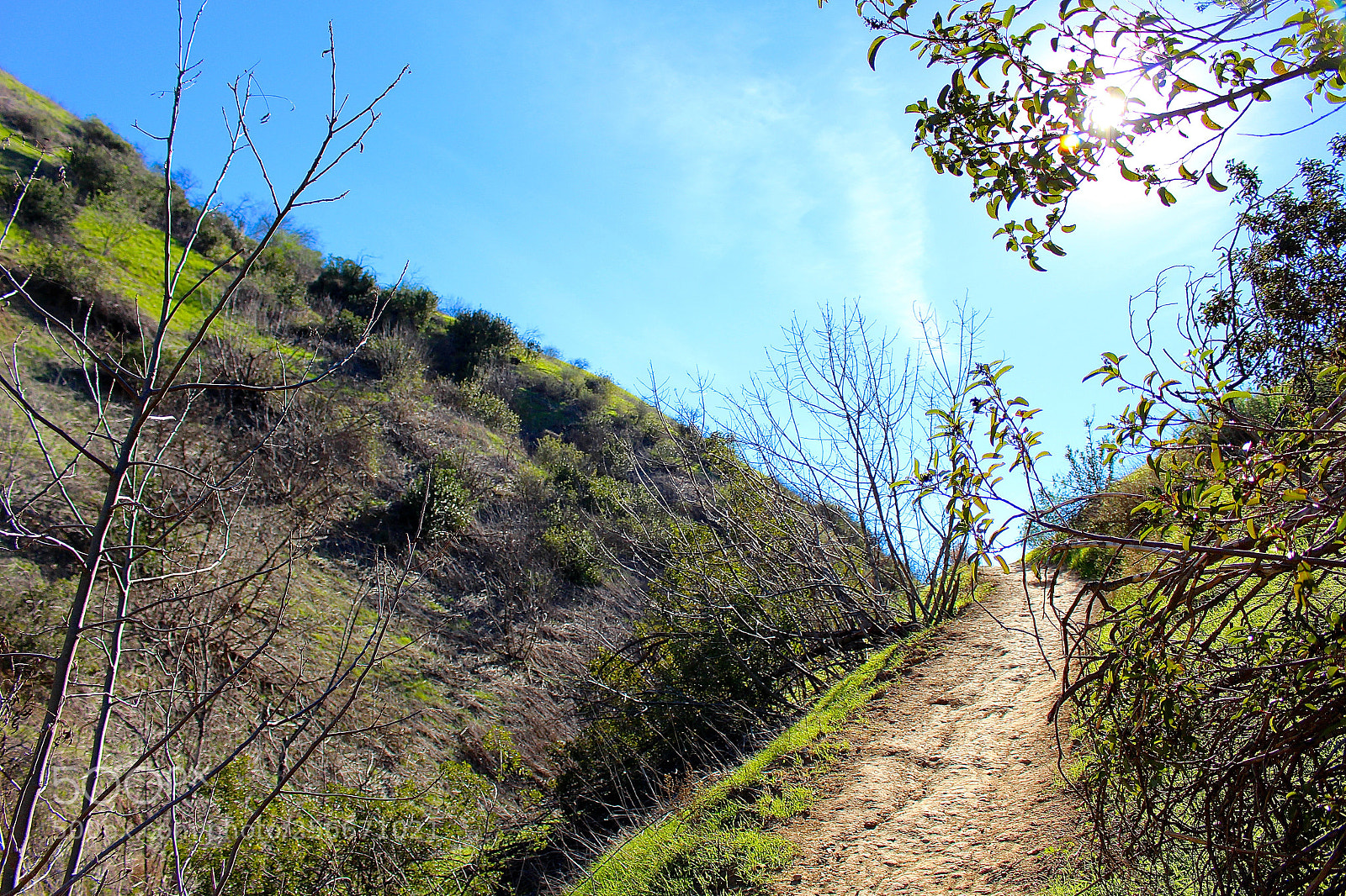 Canon EOS 700D (EOS Rebel T5i / EOS Kiss X7i) sample photo. Img photography