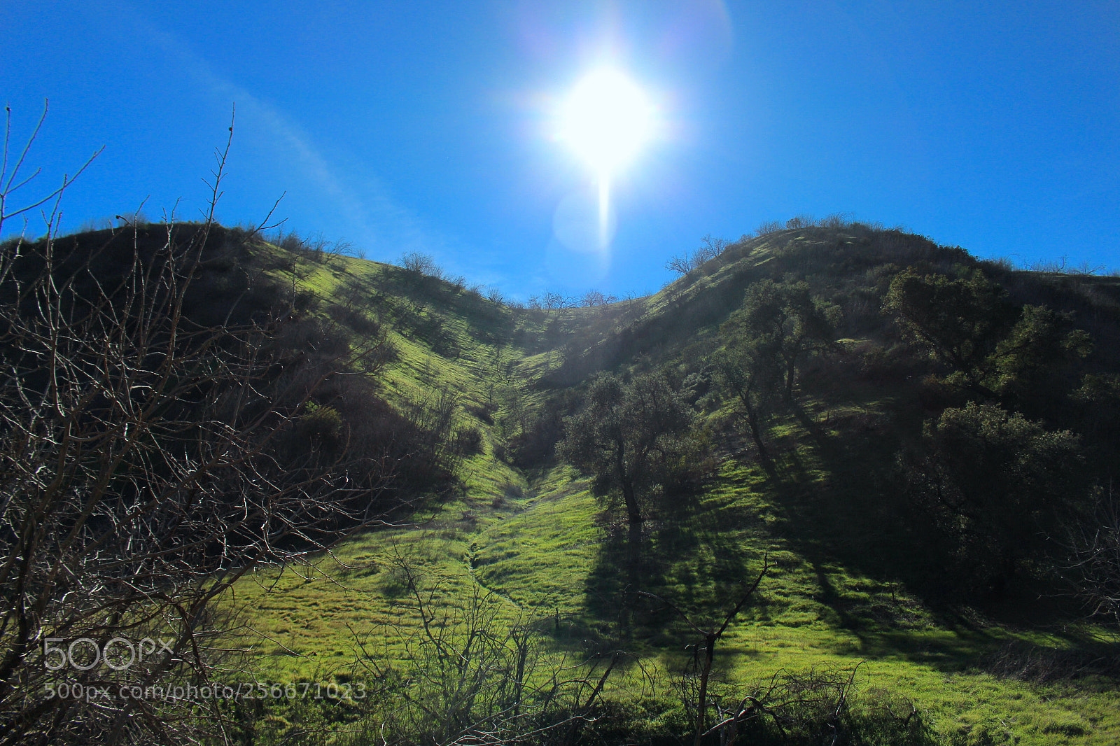 Canon EOS 700D (EOS Rebel T5i / EOS Kiss X7i) sample photo. Img photography