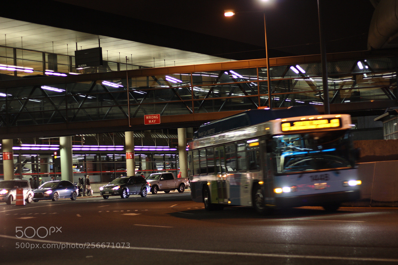 Canon EOS 700D (EOS Rebel T5i / EOS Kiss X7i) sample photo. Img photography