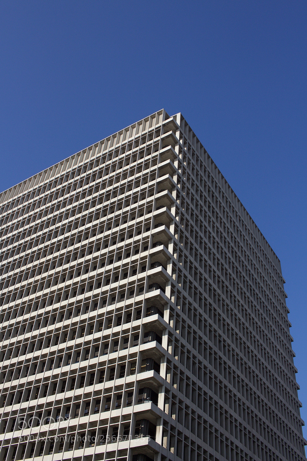 Canon EOS 700D (EOS Rebel T5i / EOS Kiss X7i) sample photo. Img photography
