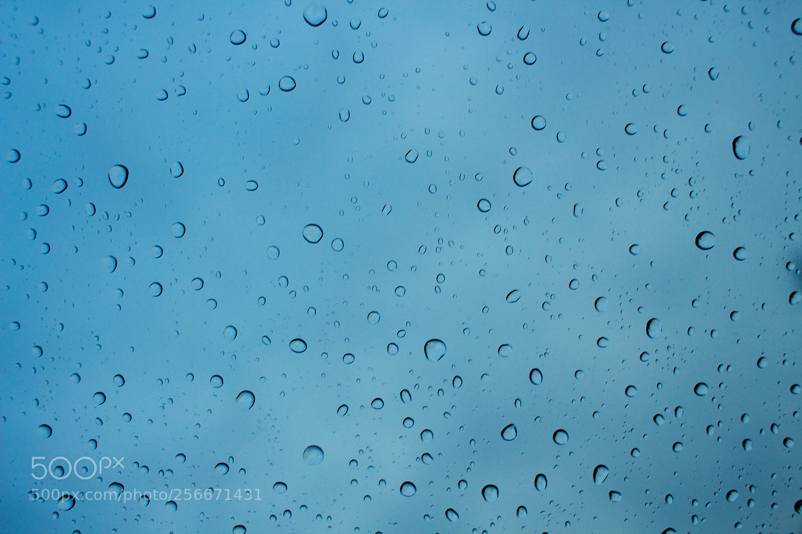Canon EOS 700D (EOS Rebel T5i / EOS Kiss X7i) sample photo. Img photography