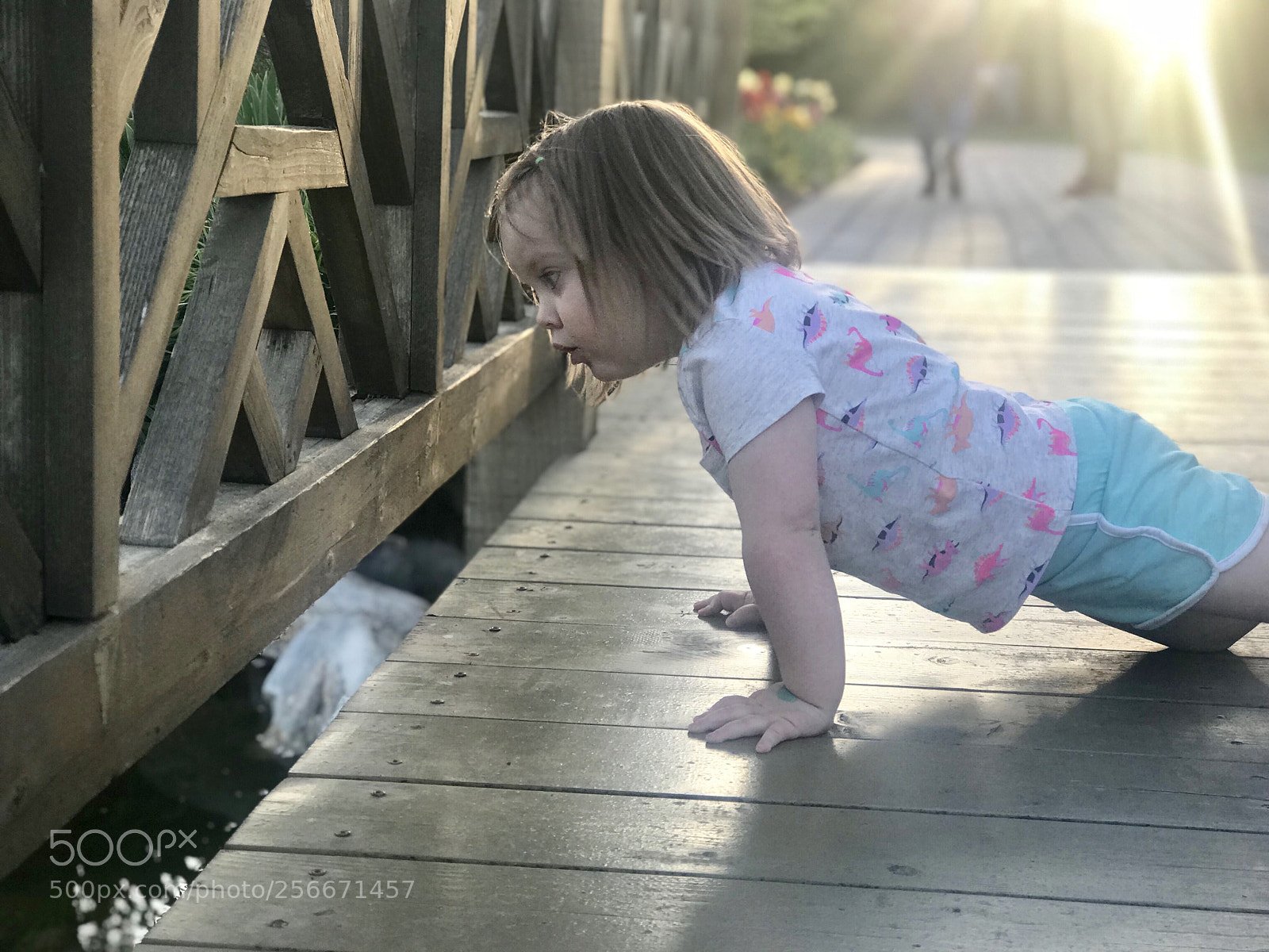 Apple iPhone 7 Plus sample photo. Hi fishy photography
