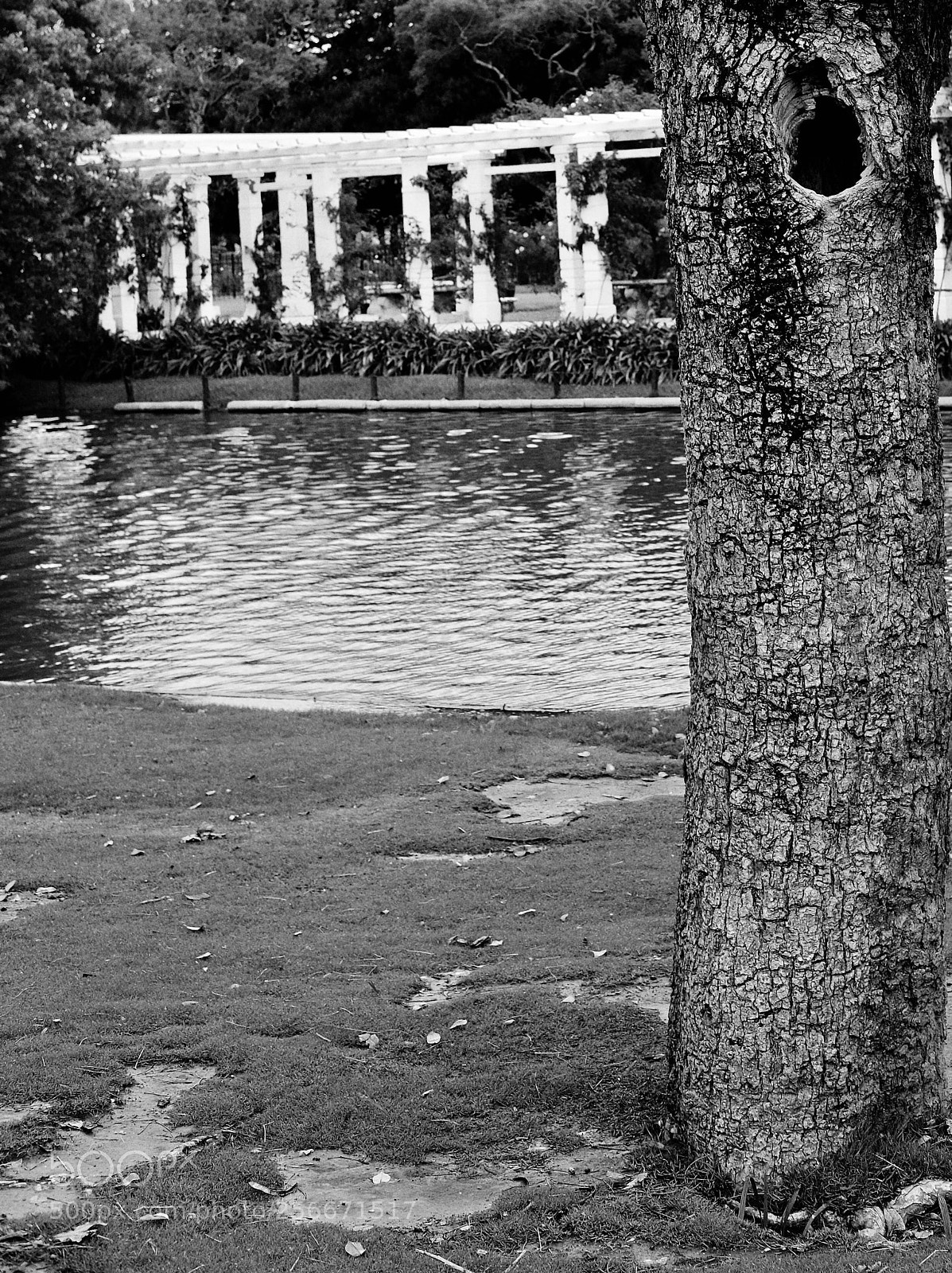 Fujifilm X-H1 sample photo. Untitled photography