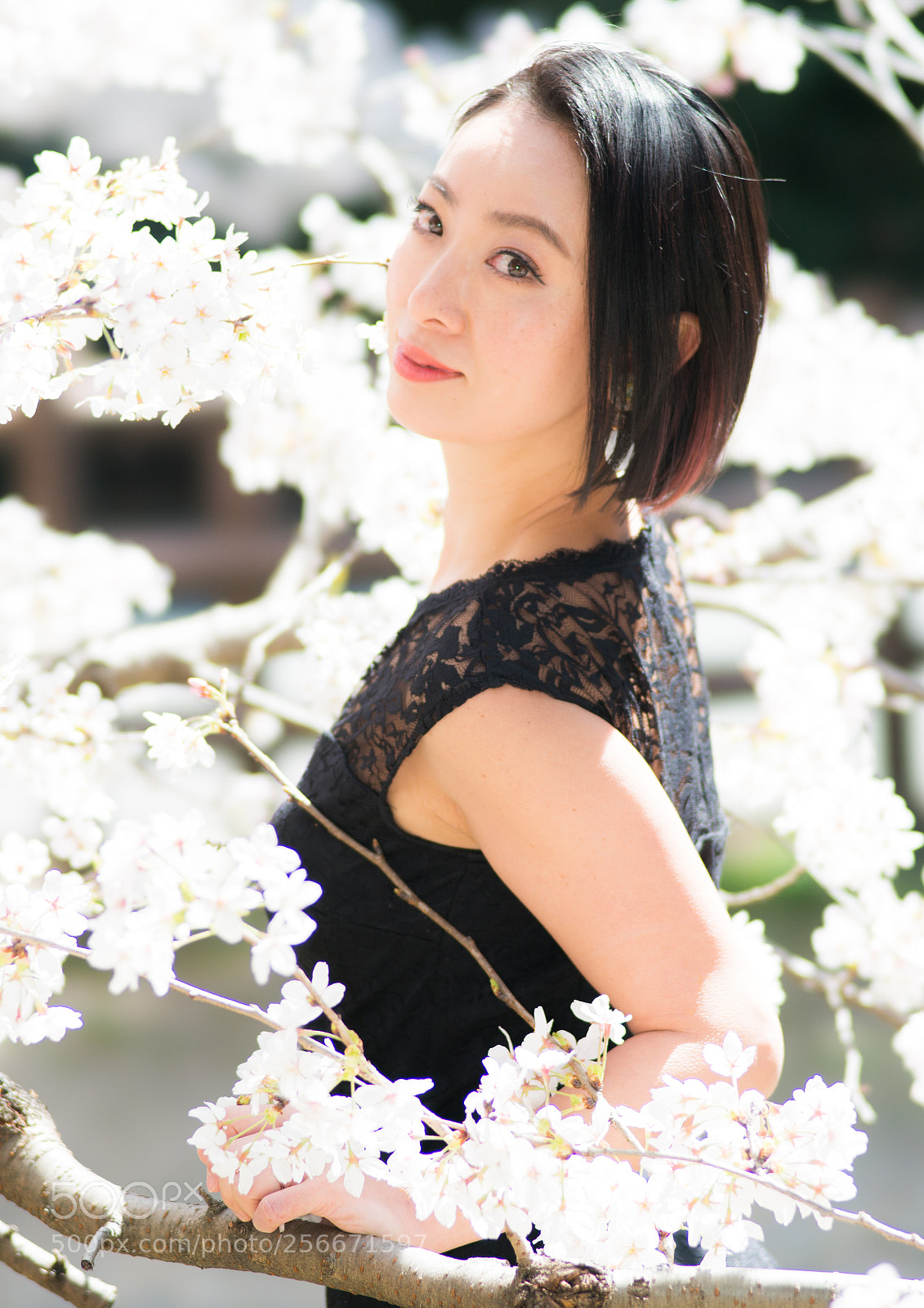 Sony SLT-A99V sample photo. Spring in kyoto photography