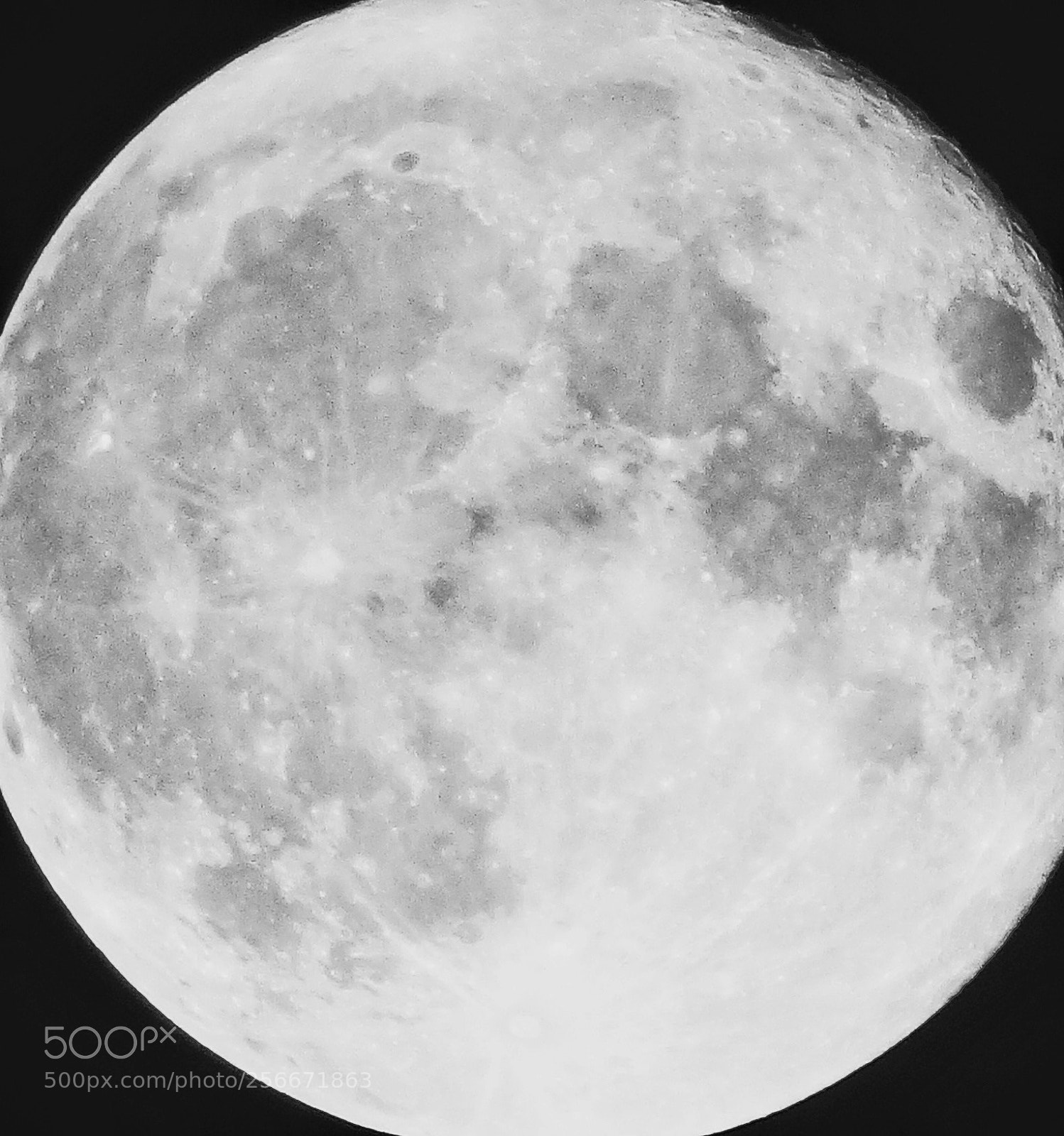 Canon PowerShot SX50 HS sample photo. Moon child photography