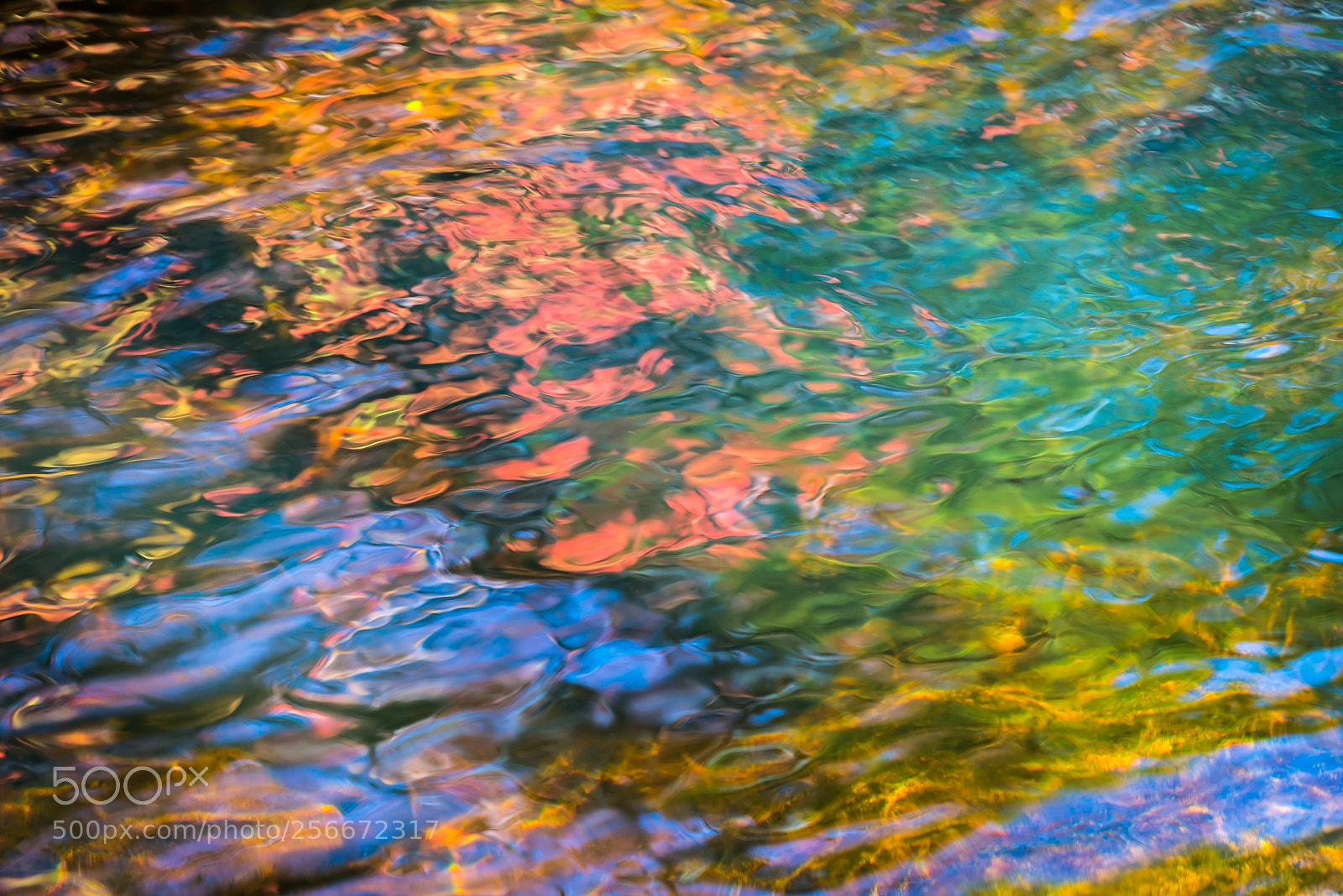 Nikon D800E sample photo. Abstracting photography