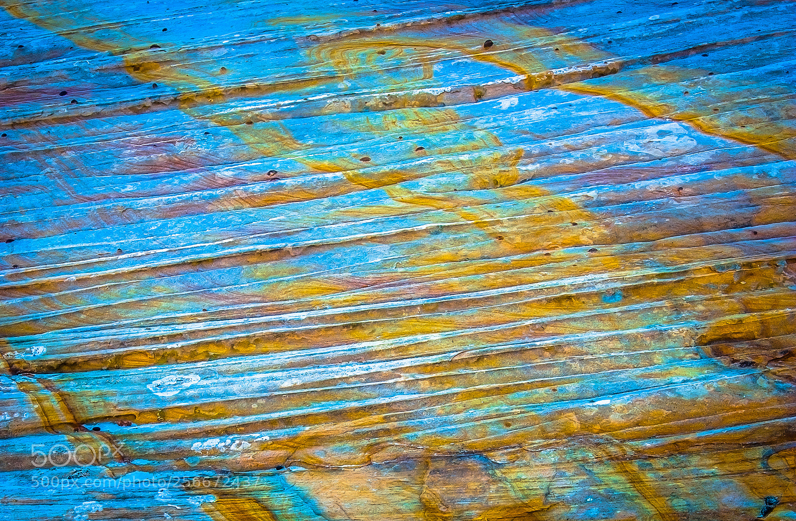 Nikon D700 sample photo. Abstracting photography