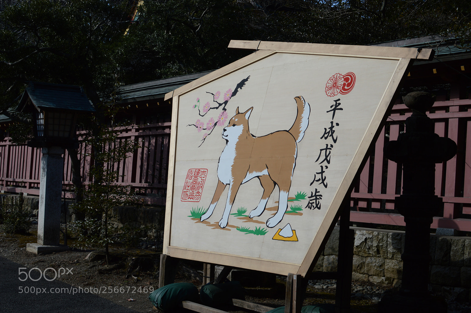 Nikon D3200 + Nikon AF-S DX Nikkor 35mm F1.8G sample photo. Dsc photography