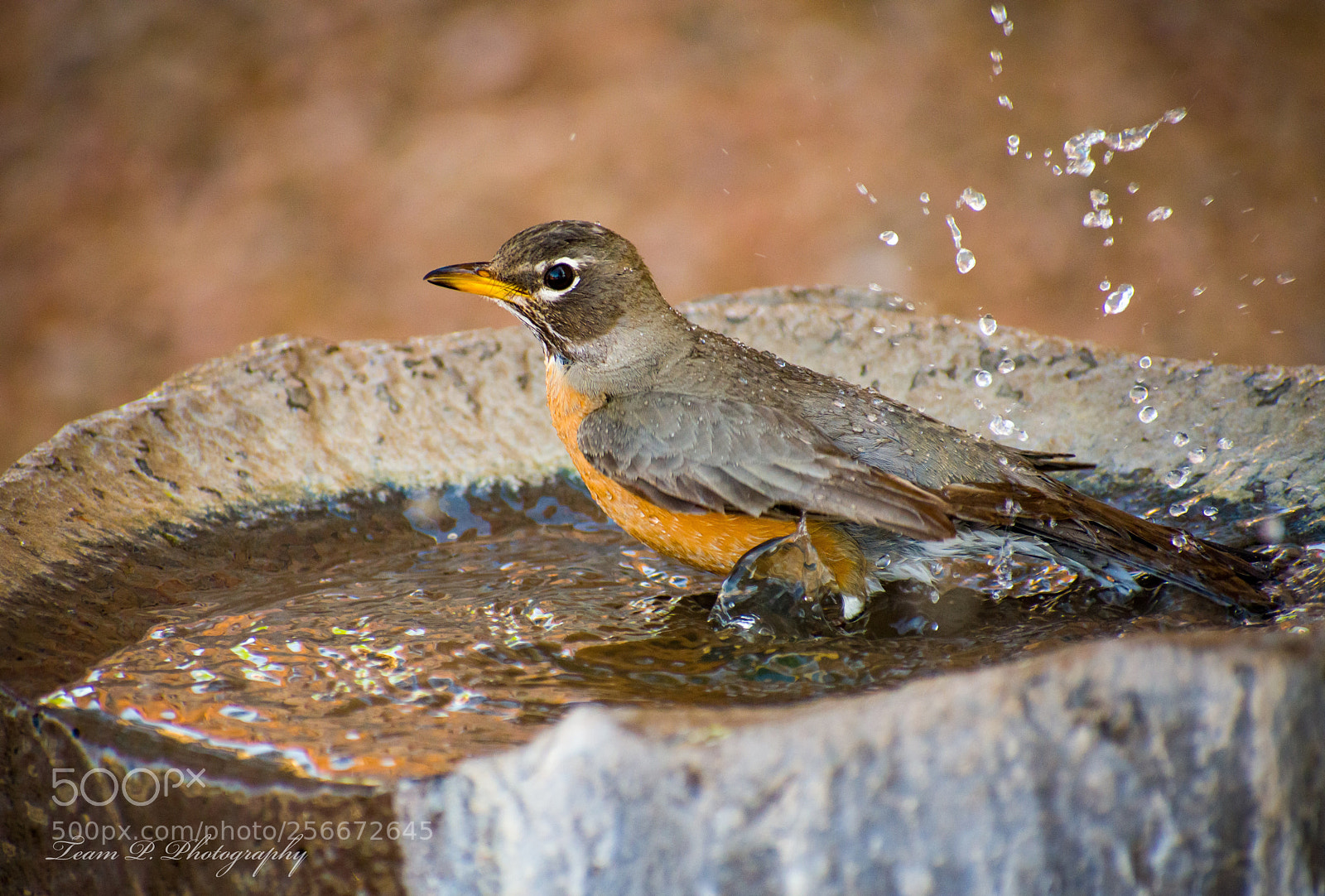 Nikon D3400 sample photo. I know he sees photography