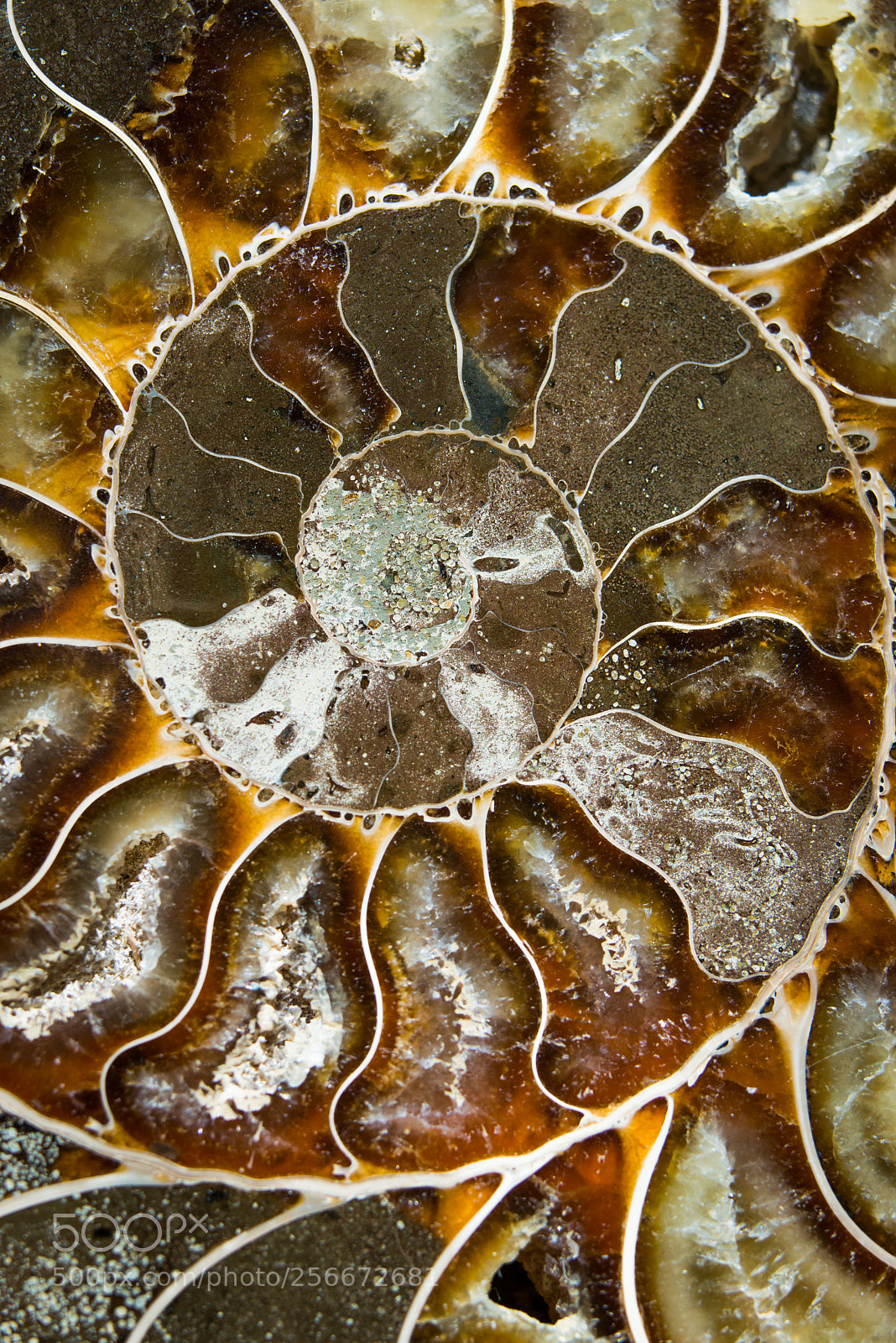 Nikon D800E sample photo. Abstracting photography