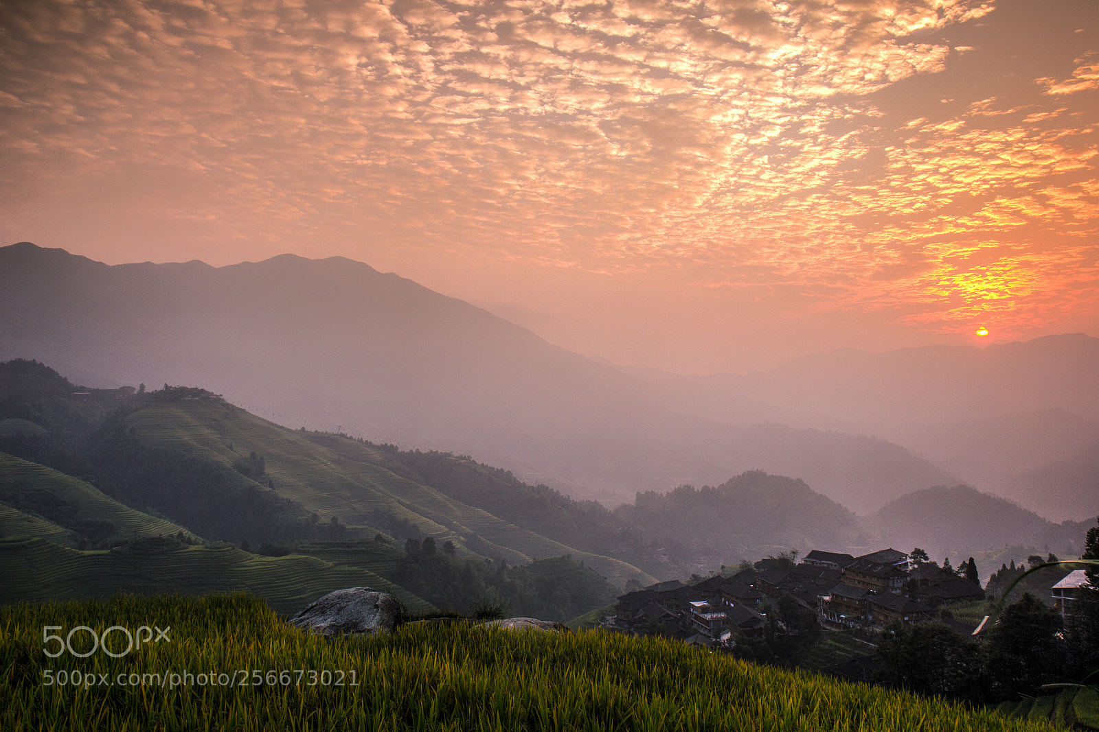 Canon EOS 60D sample photo. Rice terraces photography