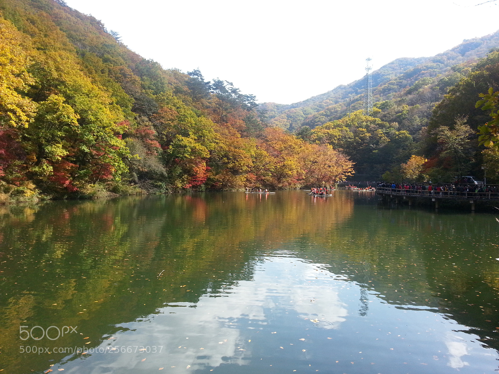 Samsung Galaxy S3 sample photo. 20141004_122014.jpg photography
