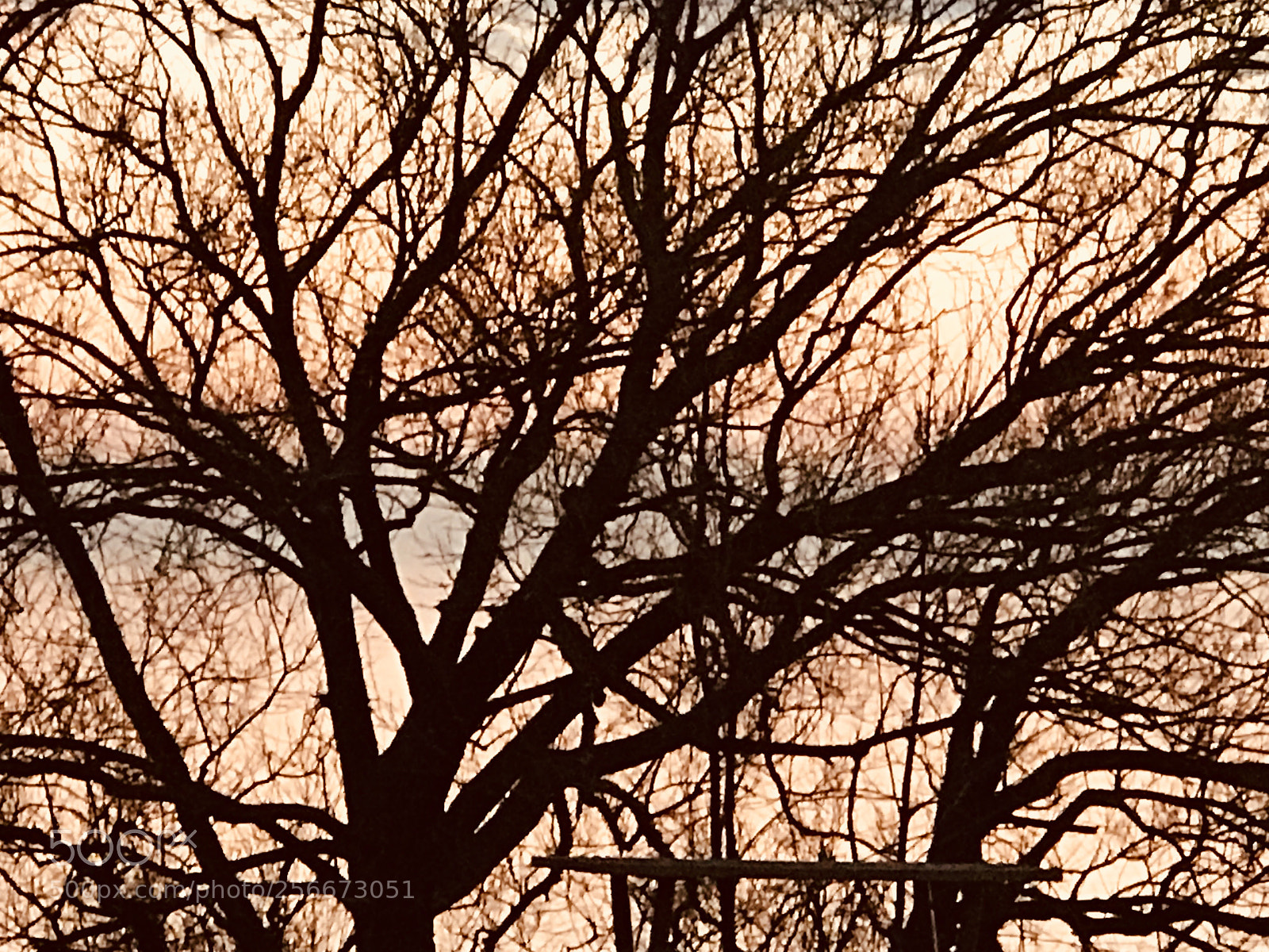 Apple iPhone 7 Plus sample photo. Untitled photography