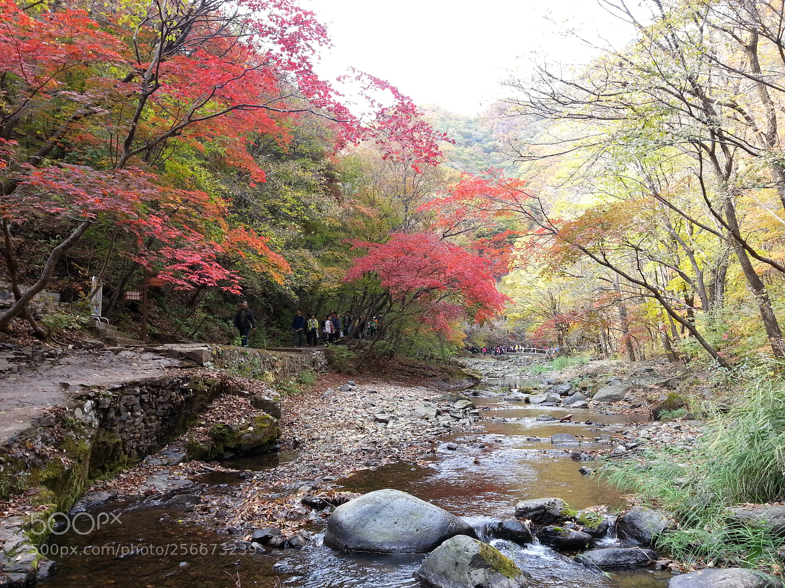 Samsung Galaxy S3 sample photo. 20141004_133602.jpg photography