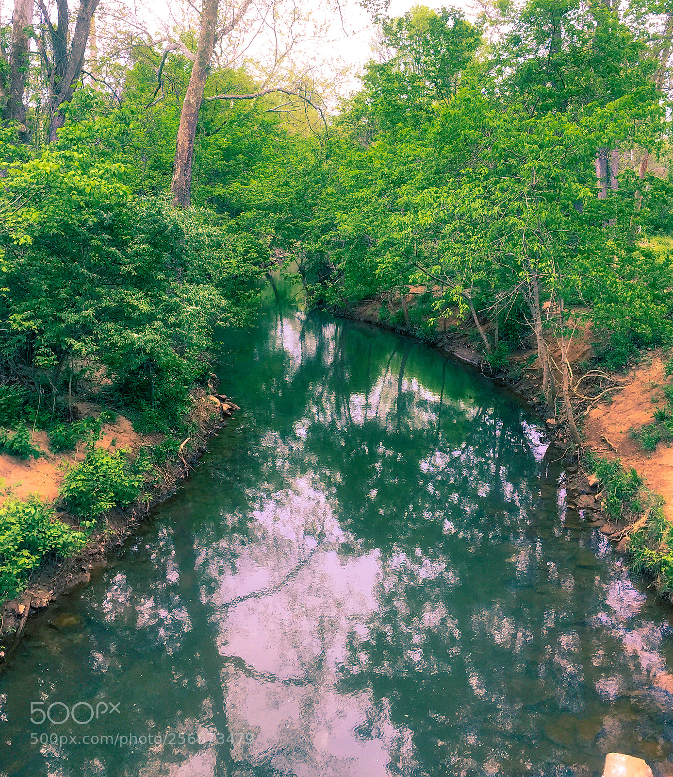 Apple iPhone 6 sample photo. Reflections photography