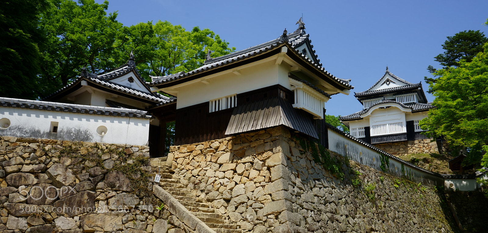 Sony a7 sample photo. Dsc photography