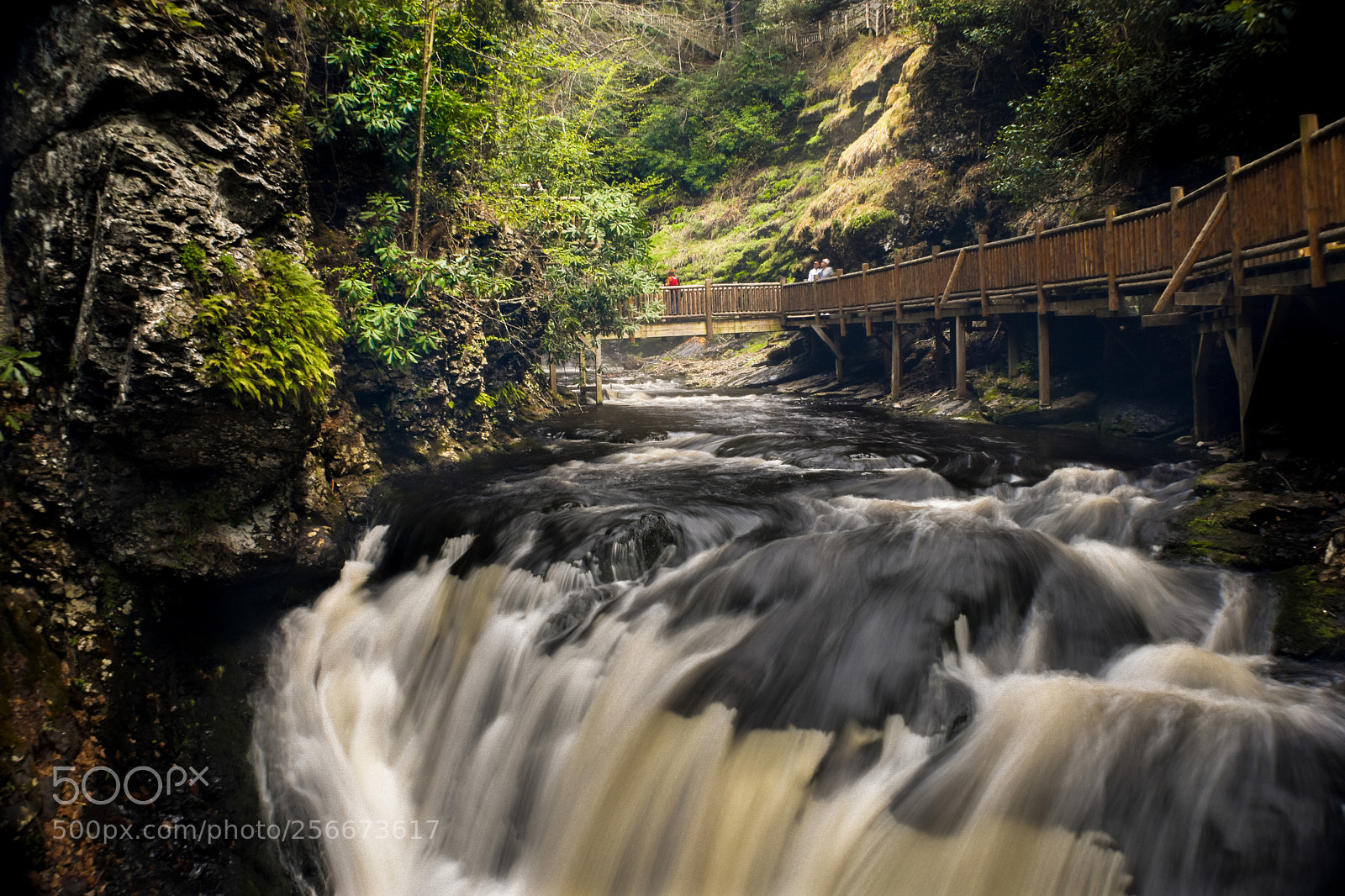 Nikon D3400 sample photo. Bushkill falls trail photography