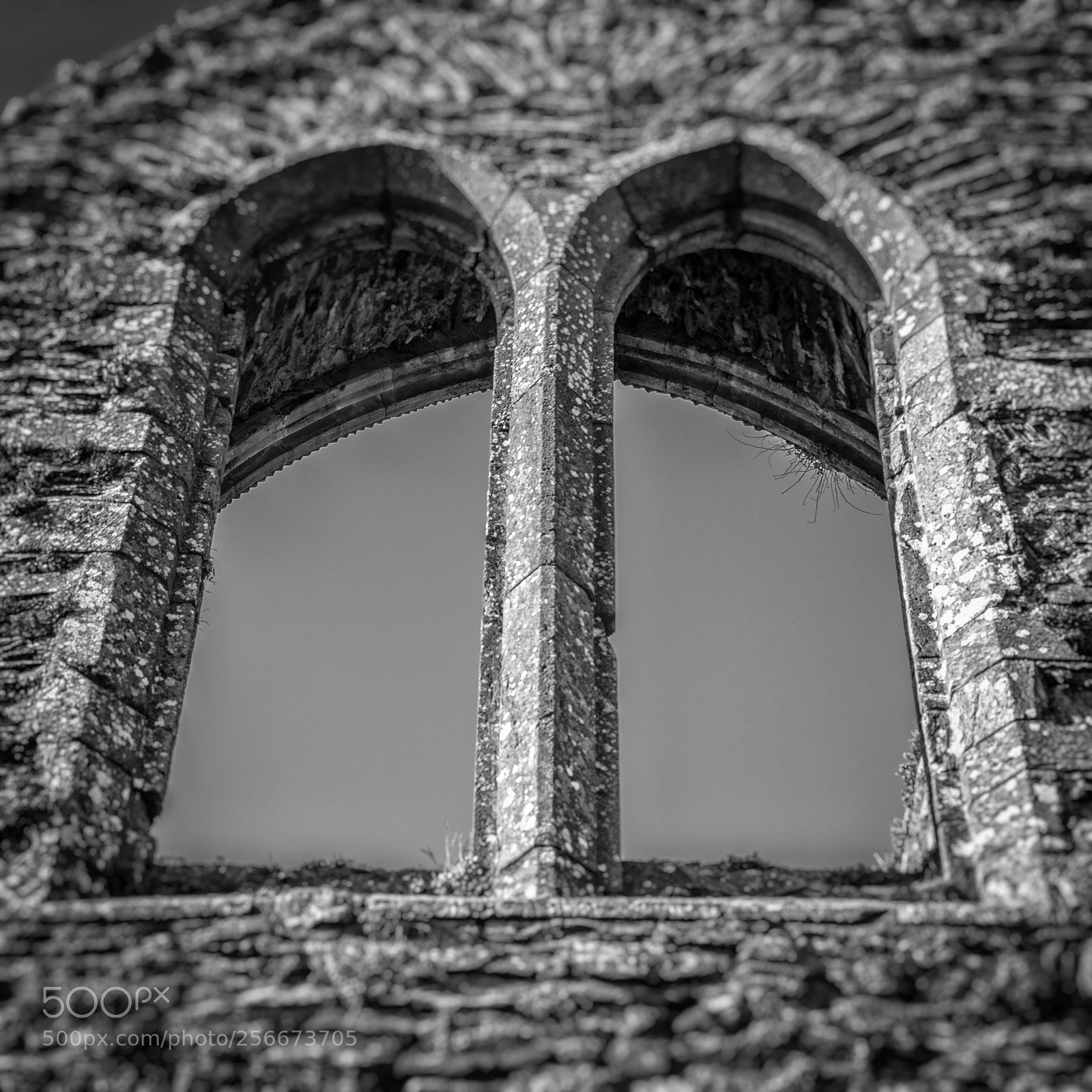 Nikon D800 sample photo. St. mary's church photography
