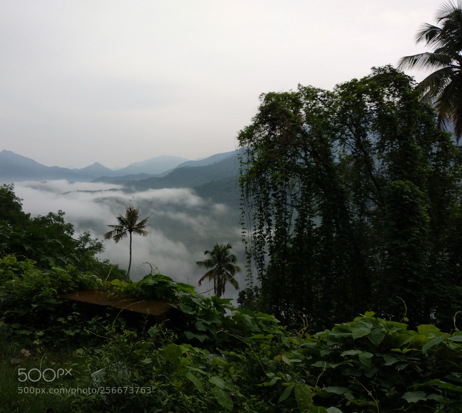 Xiaomi Mi A1 sample photo. In the clouds.. photography