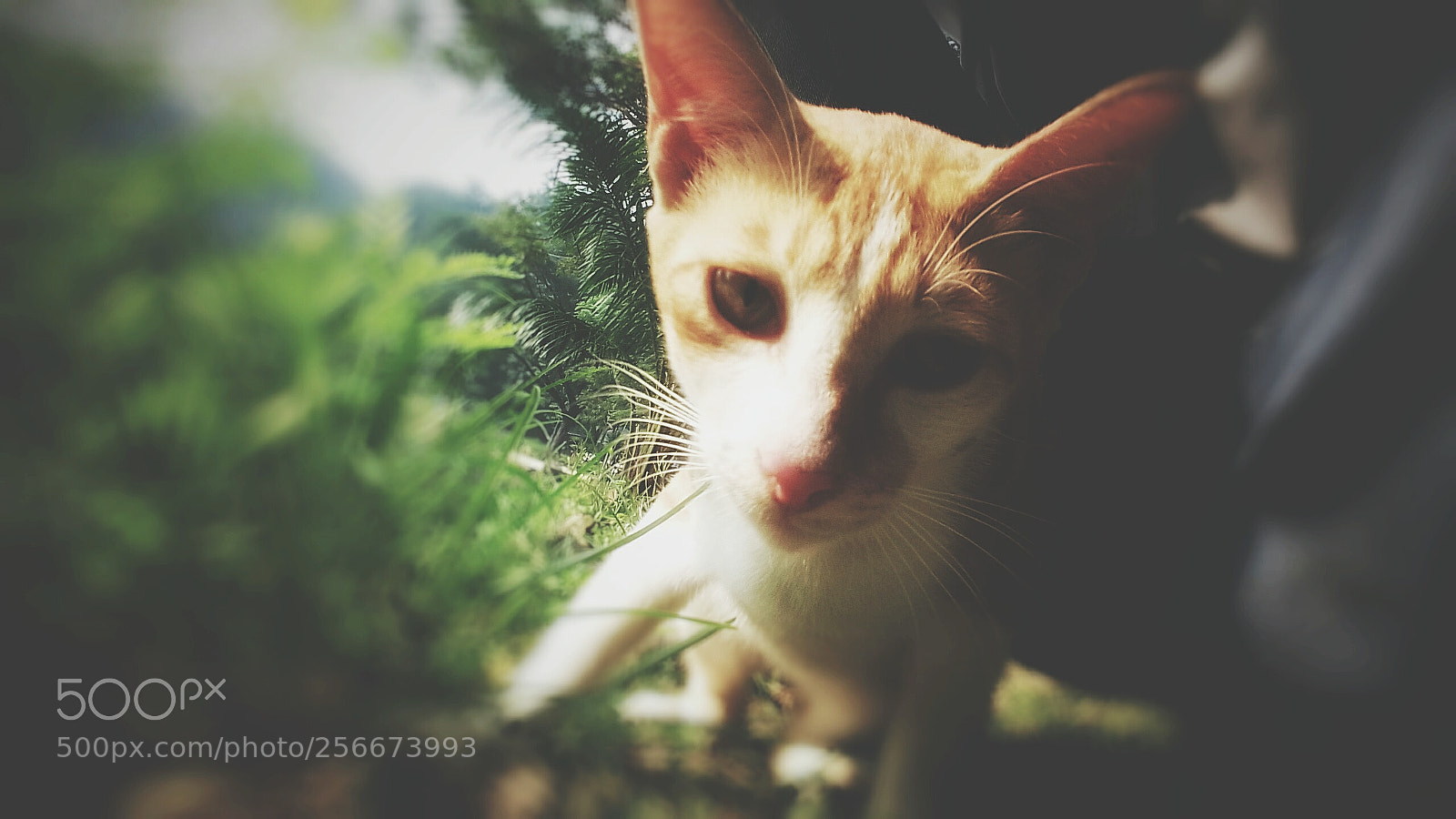 Samsung Galaxy Grand Prime sample photo. Untitled photography