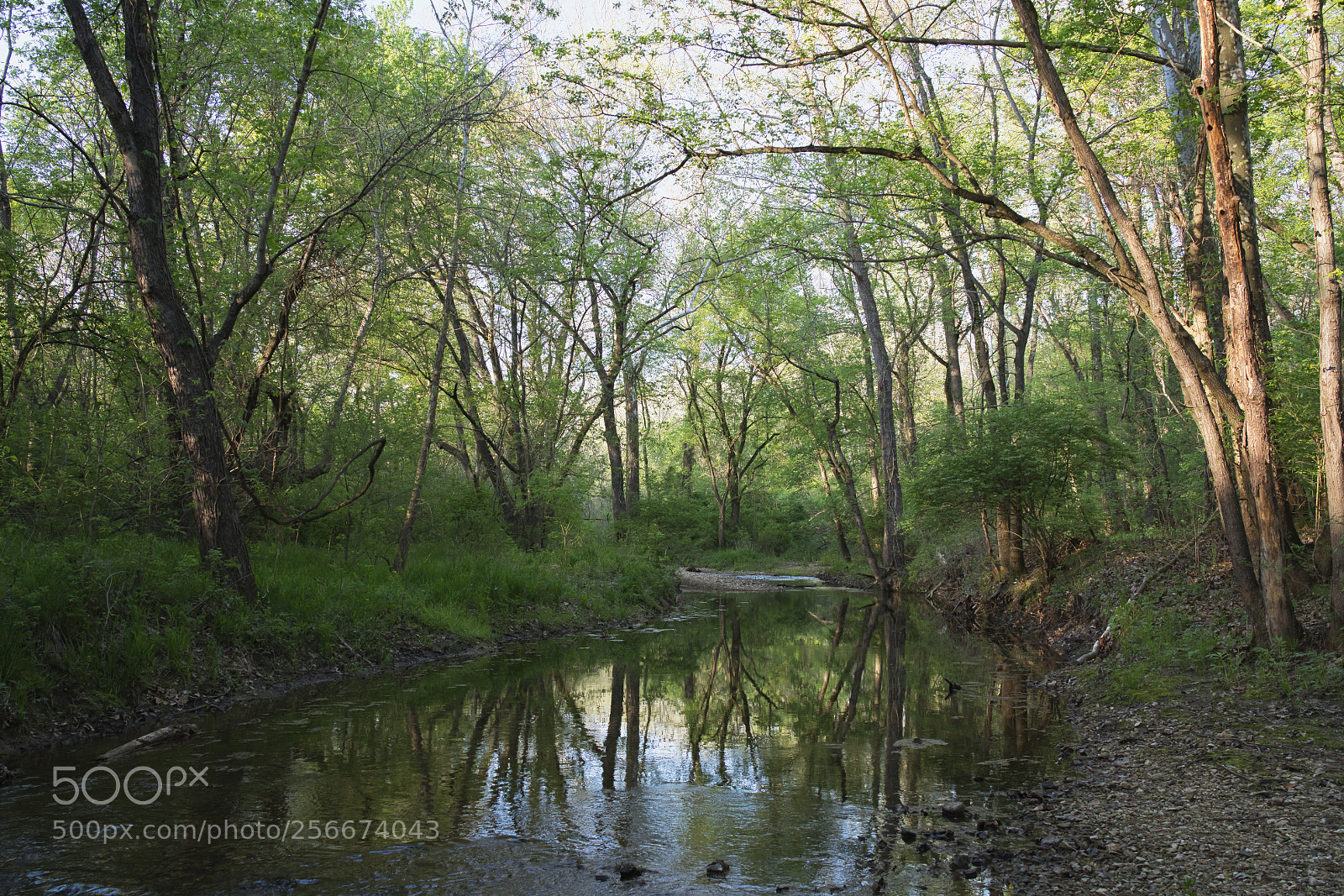 Sony a7R II sample photo. Spring light photography