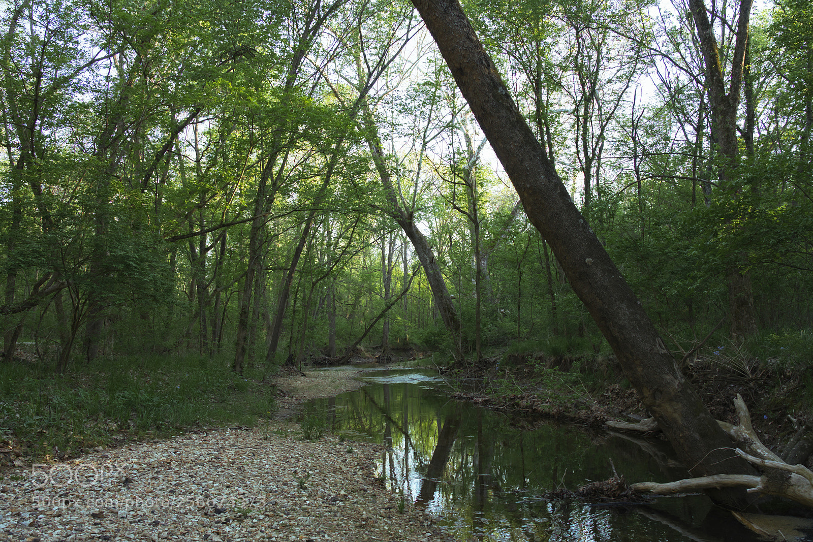 Sony a7R II sample photo. Lost valley spring creek photography