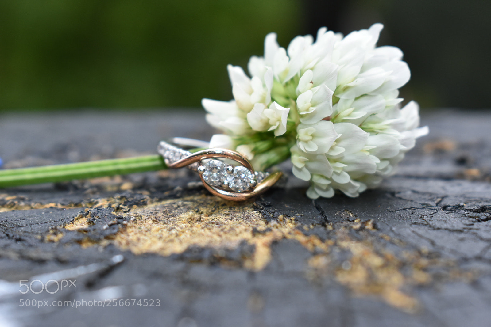 Nikon D3400 sample photo. Engagement ring photography