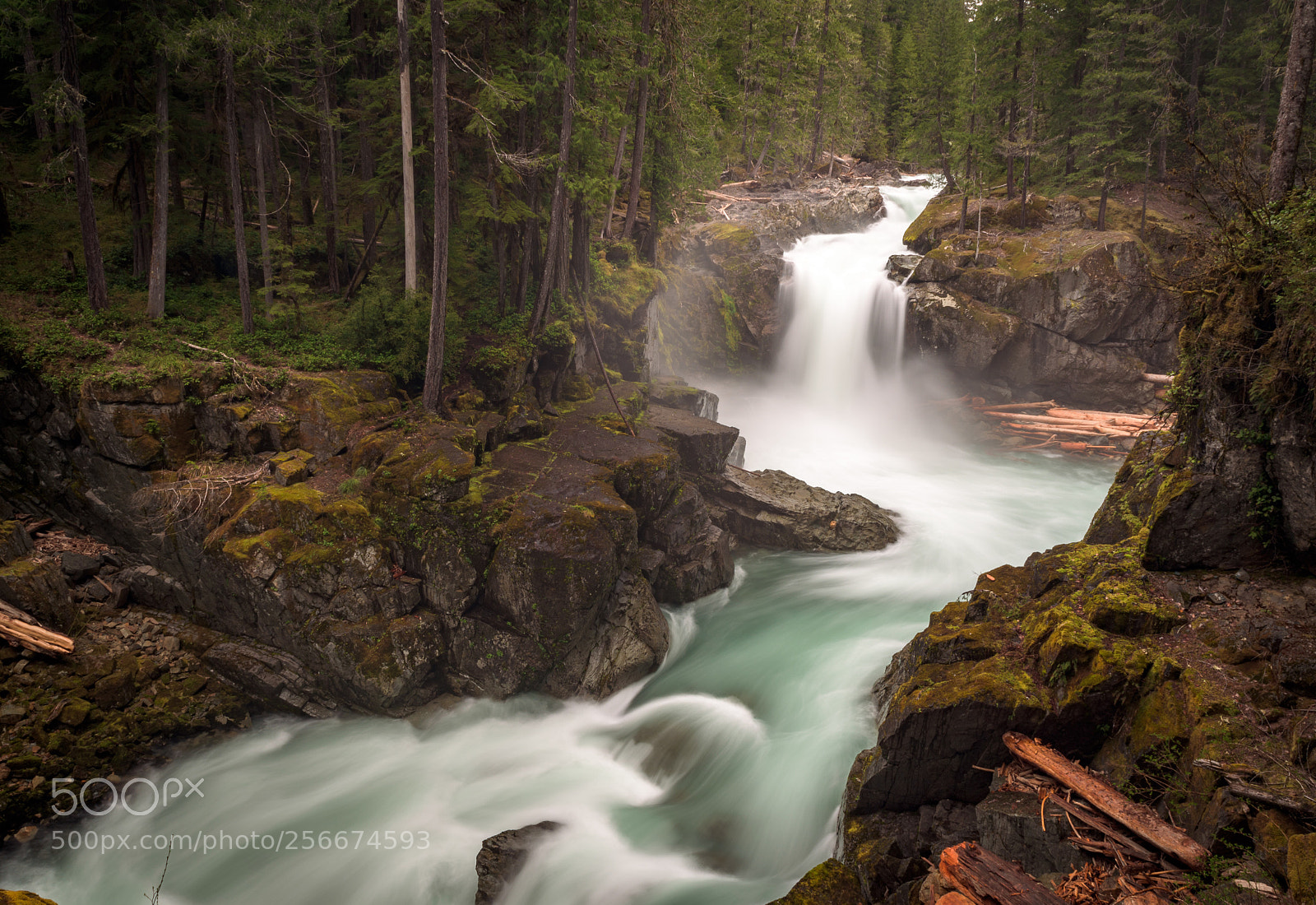 Nikon D750 sample photo. Silver falls photography
