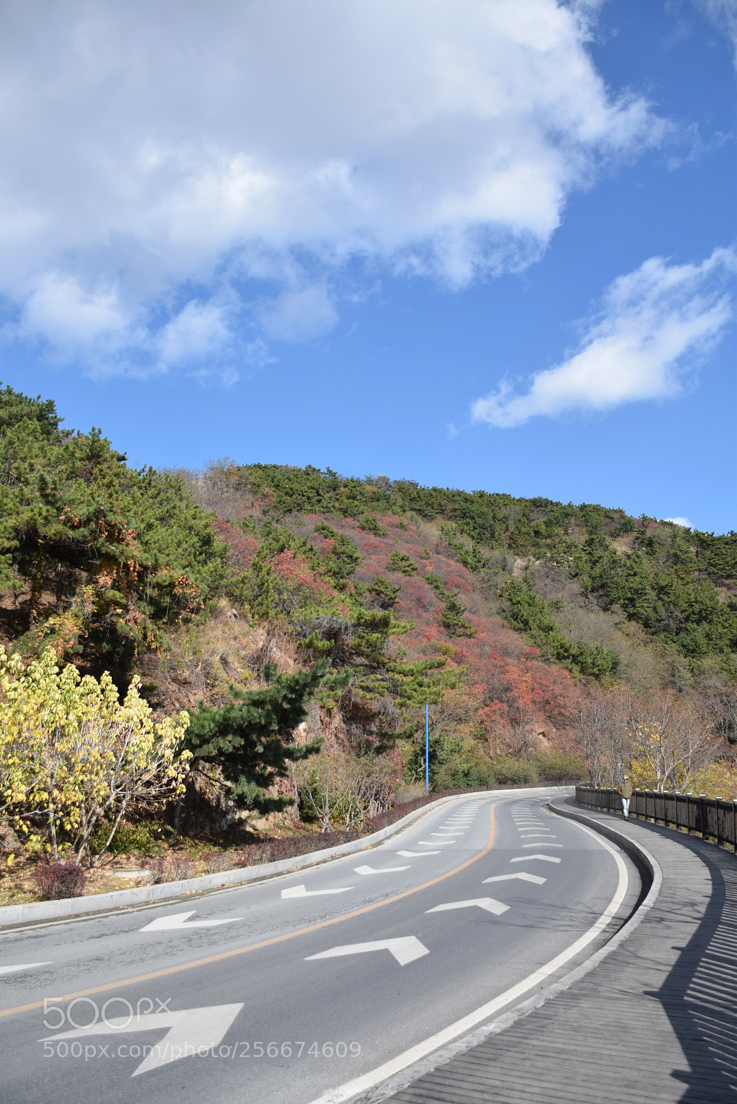 Nikon D5300 sample photo. Dsc photography