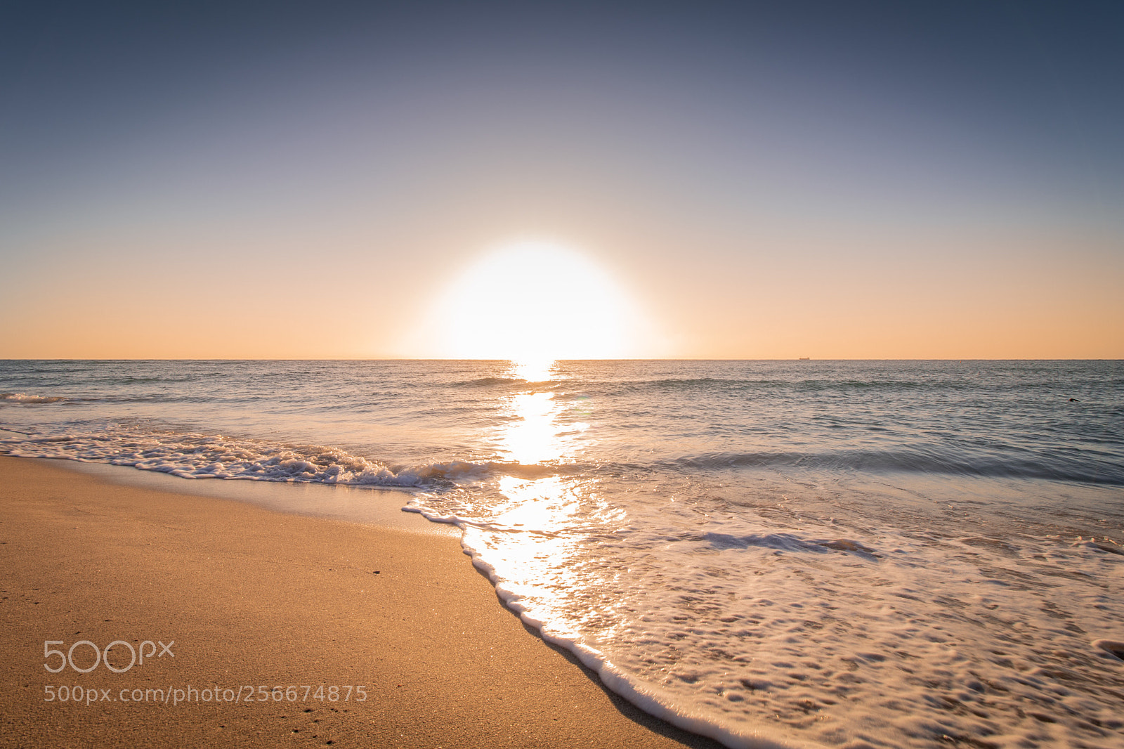 Canon EOS 80D sample photo. Golden sunrise photography