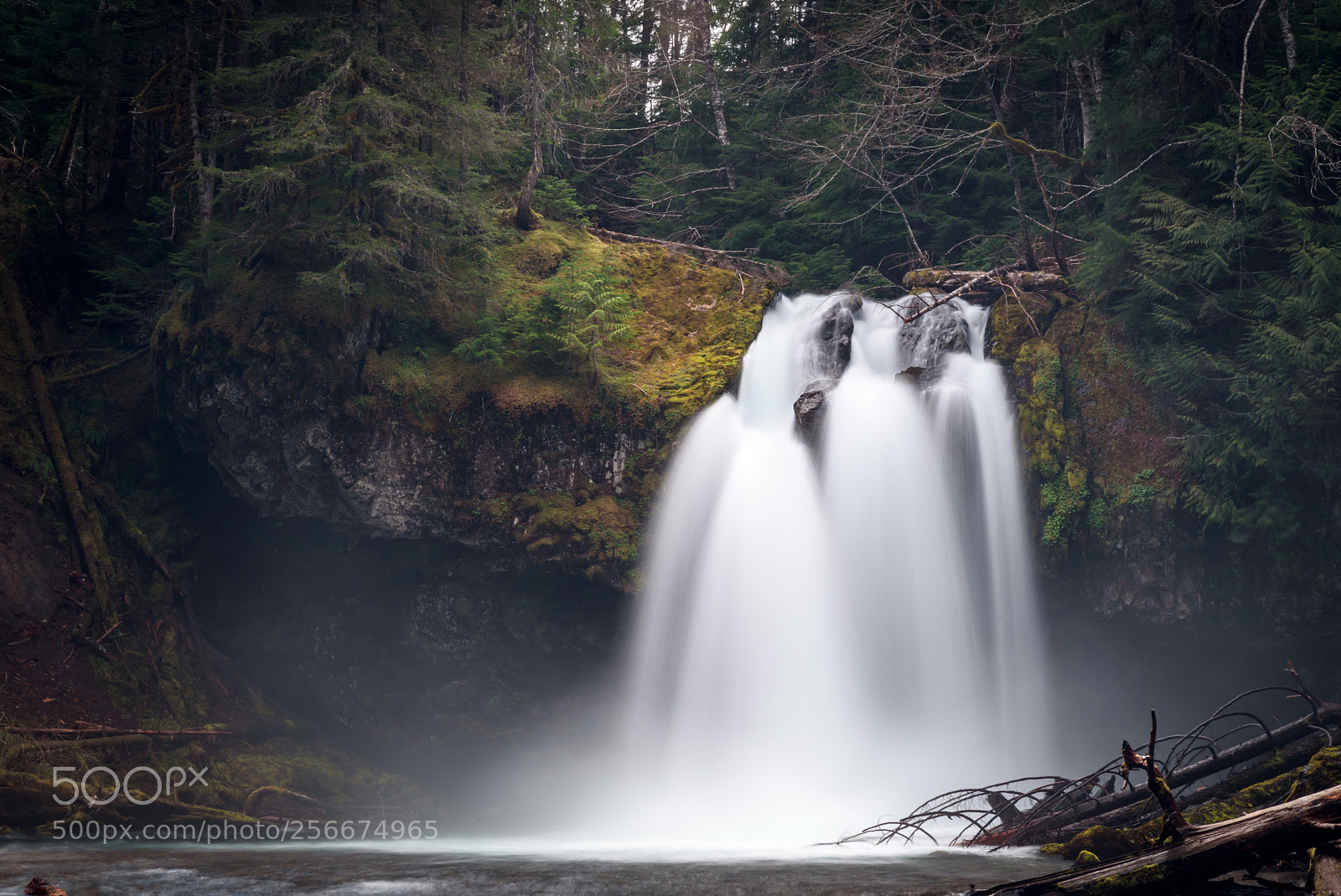 Nikon D750 sample photo. Iron creek falls  photography