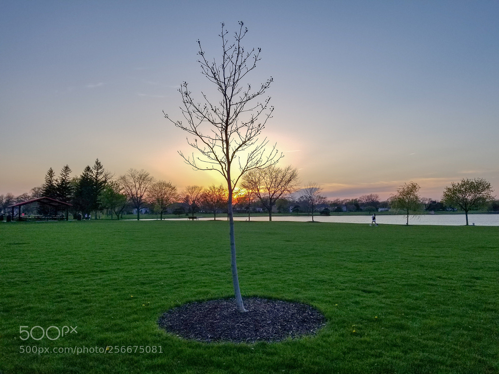 Samsung Galaxy S8+ sample photo. Sunday photography