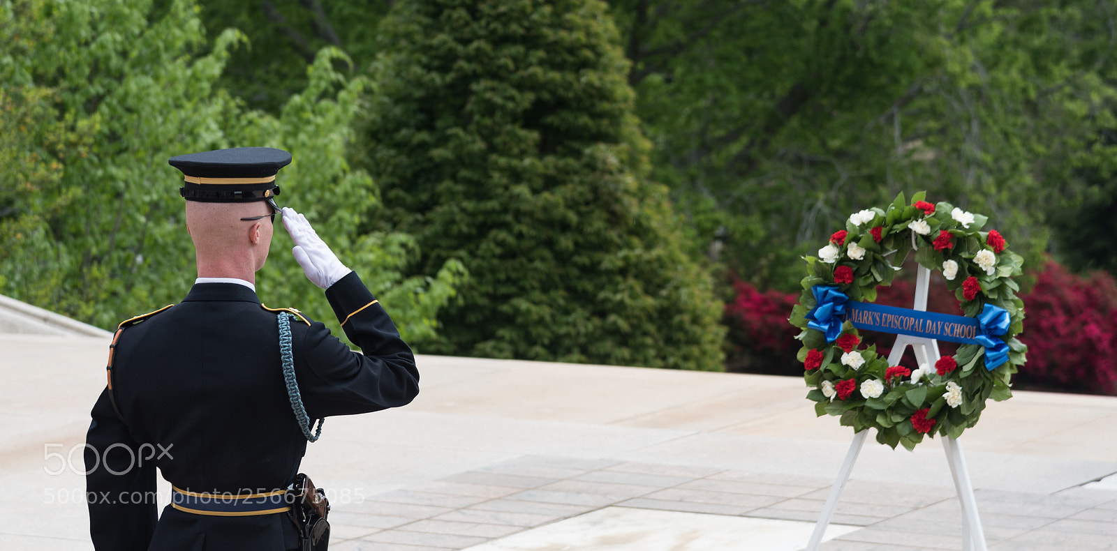 Nikon D750 sample photo. U.s. army old guard photography