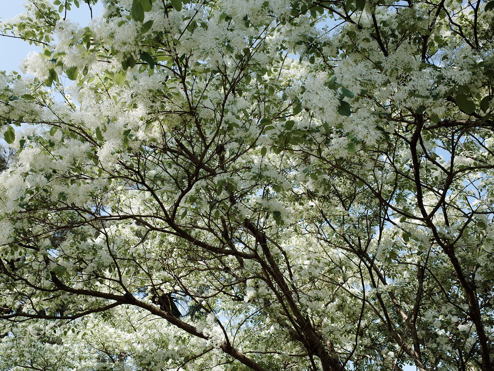 Ricoh GR sample photo. R photography