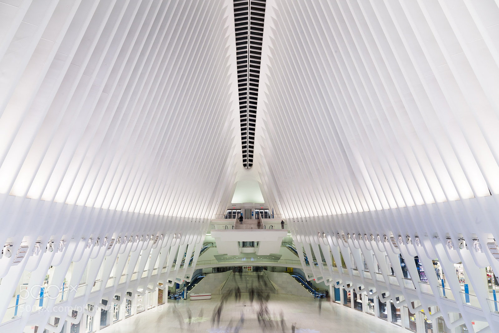 Canon EOS 6D sample photo. The oculus photography